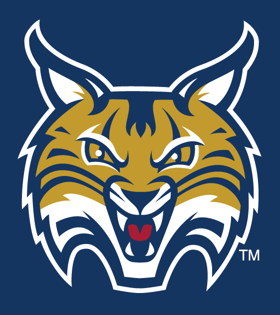 Quinnipiac Bobcats 2002-Pres Secondary Logo v8 diy fabric transfer